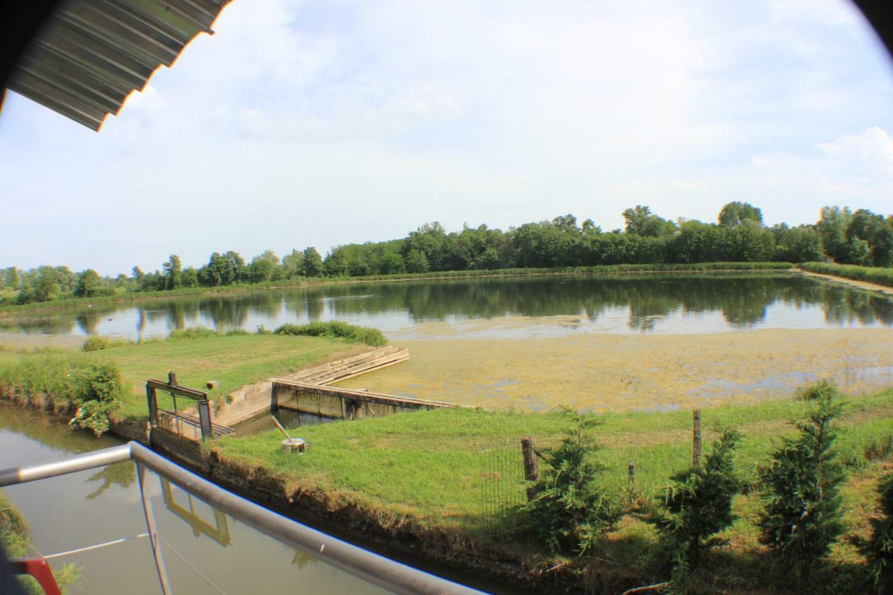Гостьовий будинок Le Moulin Traffay Saint-Didier-sur-Chalaronne Екстер'єр фото